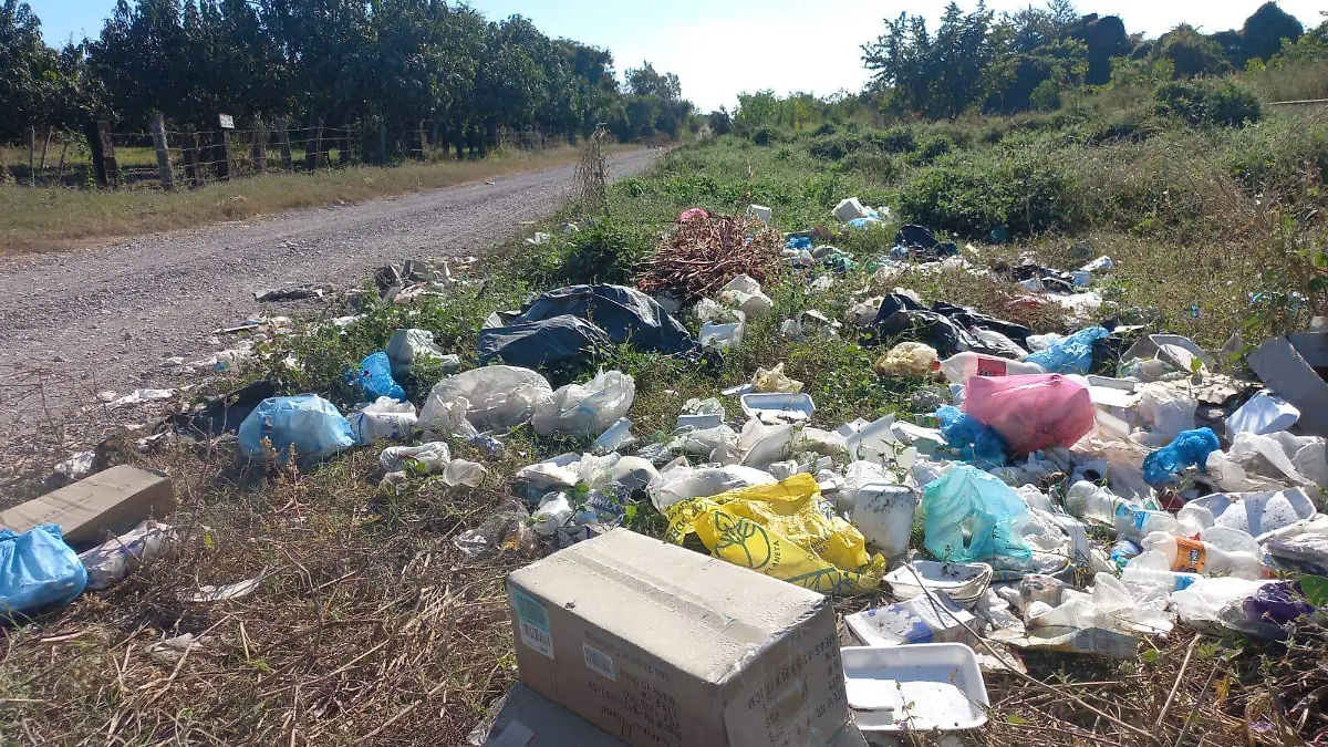 caminos saca cosechas se convierten en basureros